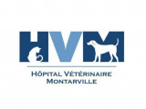 L’Hôpital vétérinaire Montarville