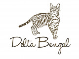 Delta Bengal