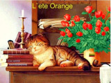L'Eté Orange