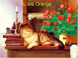 L'Eté Orange