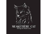 Musketiere Cat