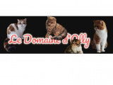 Domaine d'Olly