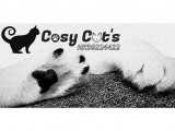 Cosy Cat’s ASBL