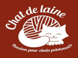 Chat de Laine