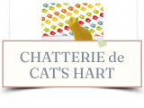 Cat's Hart