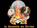 La Gamelle de Sirius