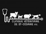 Clinique vétérinaire de St-Césaire