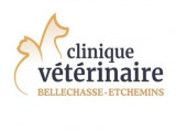Clinique vétérinaire Bellechasse-Etchemins