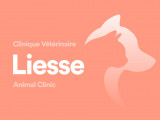 Clinique vétérinaire Liesse