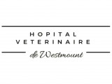 Hôpital vétérinaire de Westmount