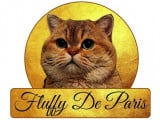 De Fluffy De Paris