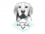 Pile-Poils