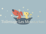 Les Moustachus
