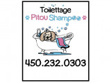 Pitou Shampoo
