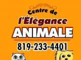 Élégance Animale