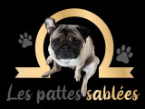Les pattes sablées