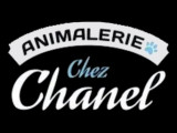 Chez Chanel