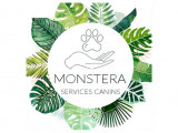 Montsera services canins