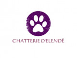 D'Elendë