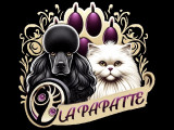 La Papatte