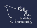 À rebrousse poils