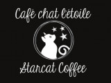 Chat l'étoile