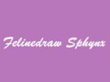 Felinedraw