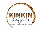 Kinkin