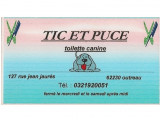 Tic et Puce
