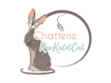 Rex Kat et Cat