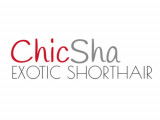 ChicSha