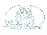 Luxury Siberia