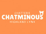 Chatminous