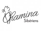 Chamina