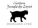 Jungle du Lynx