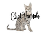 Chatvannah