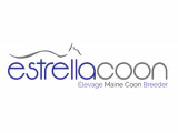 Estrellacoon