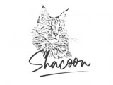 Shacoon