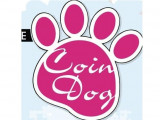 Coin Dog
