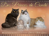 Les Princes de Comté