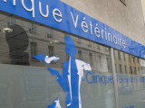 Clinique vétérinaire Guillotière