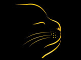 Vie de Chat