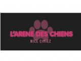 L’arène Des Chiens