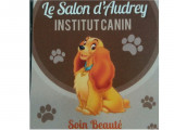 Le Salon d’Audrey