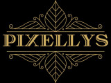 Pixellys