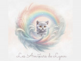 Des Amours de Lynn