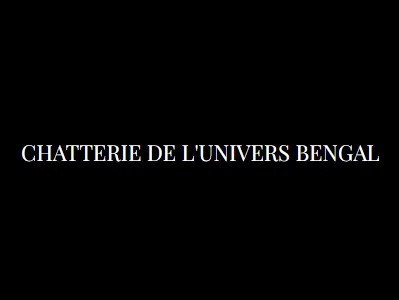 Chatterie De Lunivers Bengal élevage De Bengal à Cesson