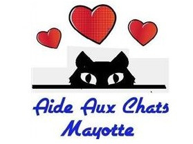 COUSSIN CHAT  Diamant Mayotte