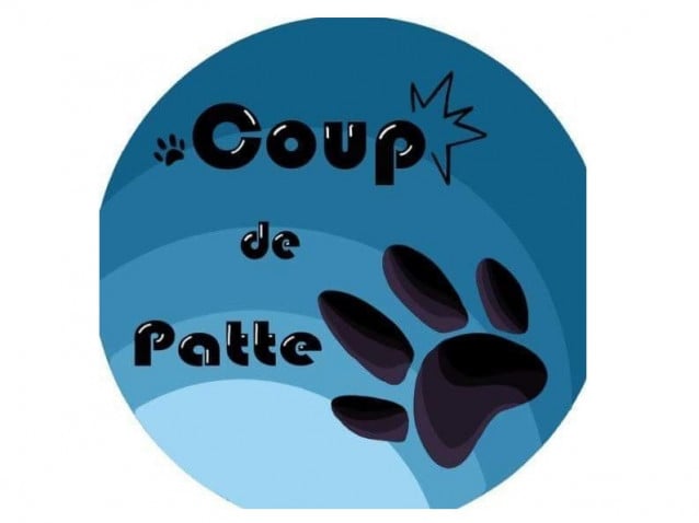 Coup De Patte Refuge Pour Chat Association De Protection Animale A Montville