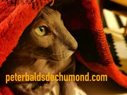 Peterbalds de Chumond